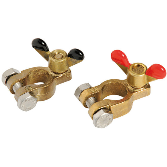 Paire de cosses en bronze pour batteries 
