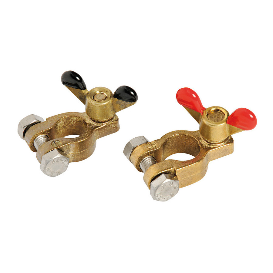Paire de cosses en bronze pour batteries 