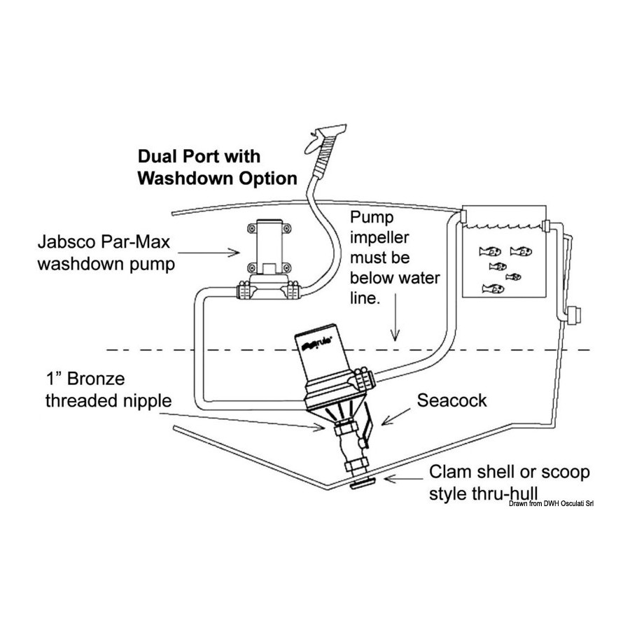 Pompe centrifuge RULE Dual-Port 