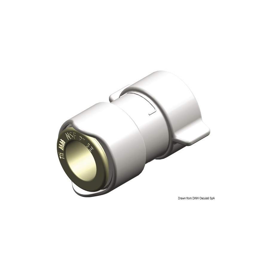Adaptateur ½’’  femelle WHALE BSP 