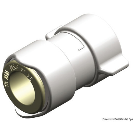 Adaptateur ½’’  femelle WHALE BSP