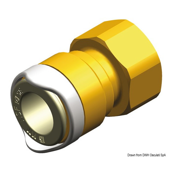 Adaptateur ½’’  femelle WHALE BSP (laiton) 