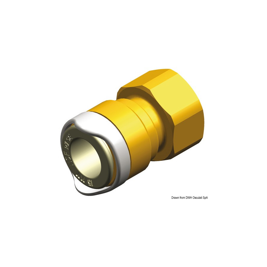 Adaptateur ½’’  femelle WHALE BSP (laiton) 