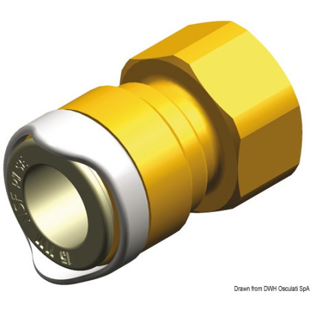 Adaptateur ½’’  femelle WHALE BSP (laiton)