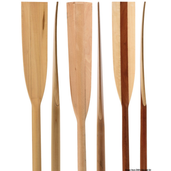 Avirons en bois 
