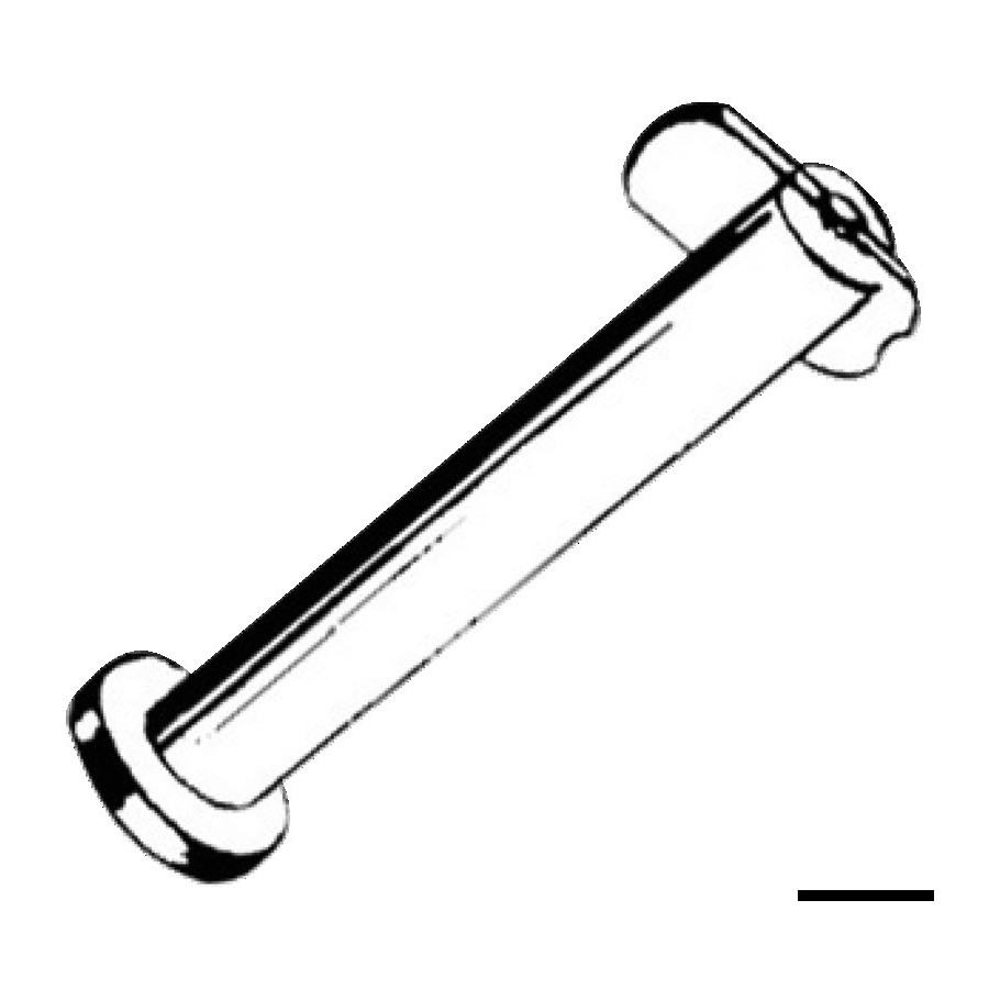 Goupille de fixation 