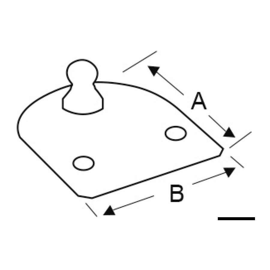Version plate 