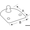 Version plate