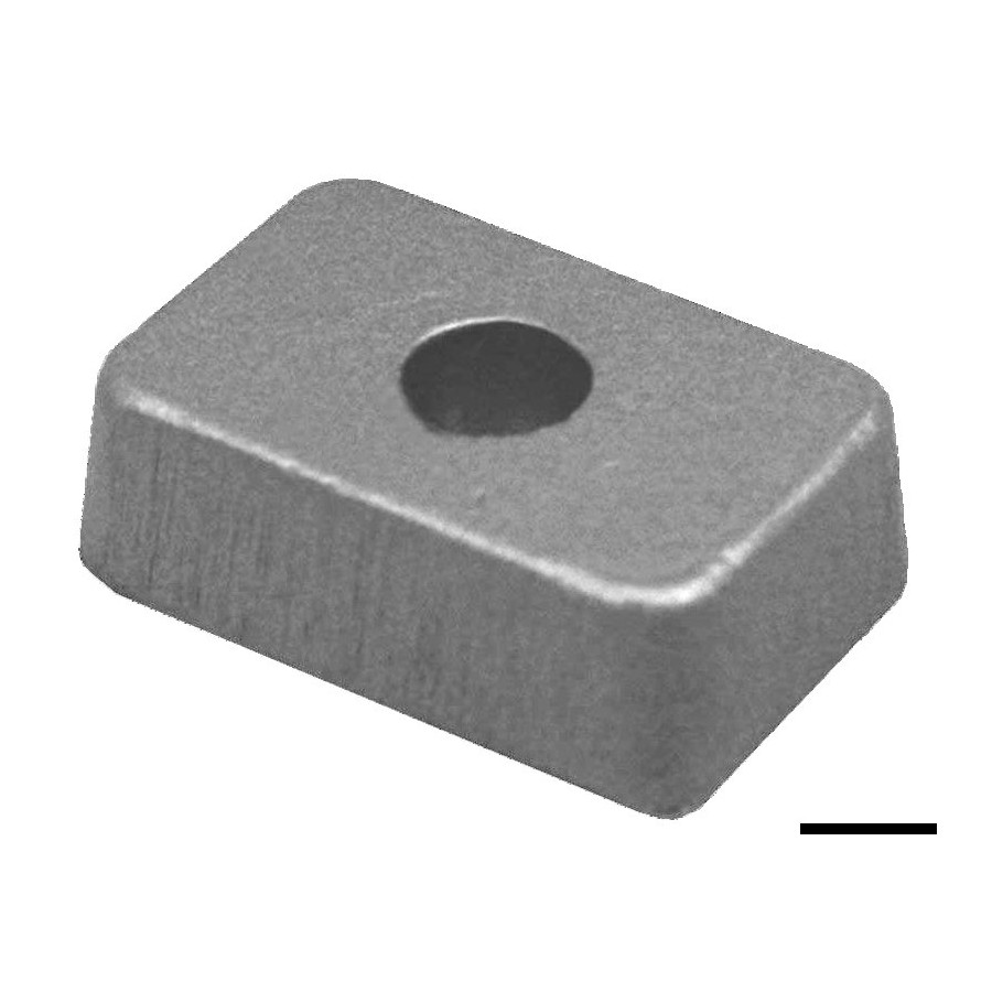 Plaque simple pour Tohatsu 