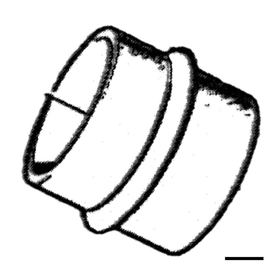 Soufflet et manchon pour Volvo Variante ou Accessoires Réduit:Volvo 858955 *43.932.12*