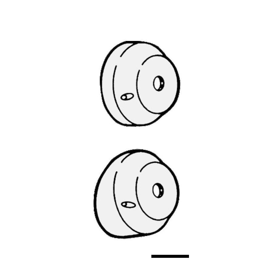 Systeme de direction T72 