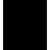 Piston hydraulique