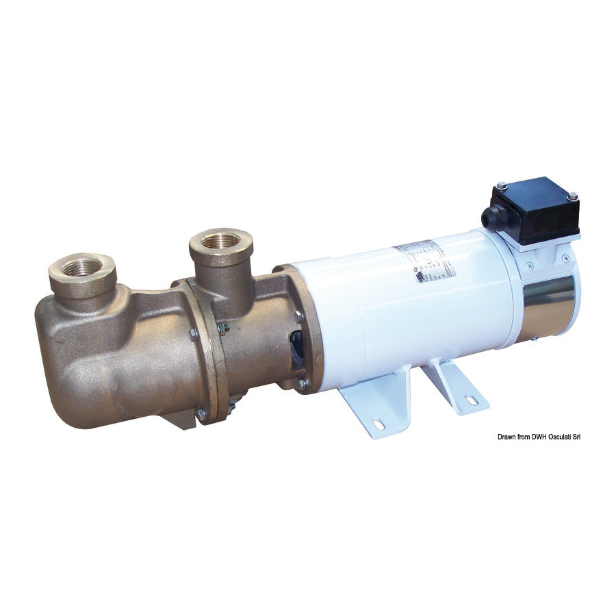 Electropompe CEM Sbr autoamorçable monovis en bronze 