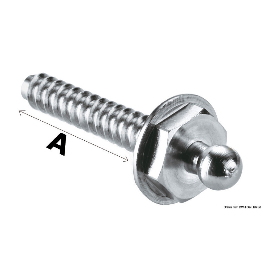 Boutons et boutons mâle + femelle 