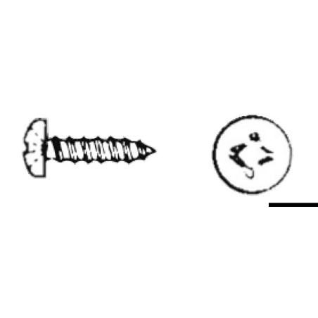 Vis autotaraudeuse tête cylindrique cruciforme, UNI 6954 DIN 7981